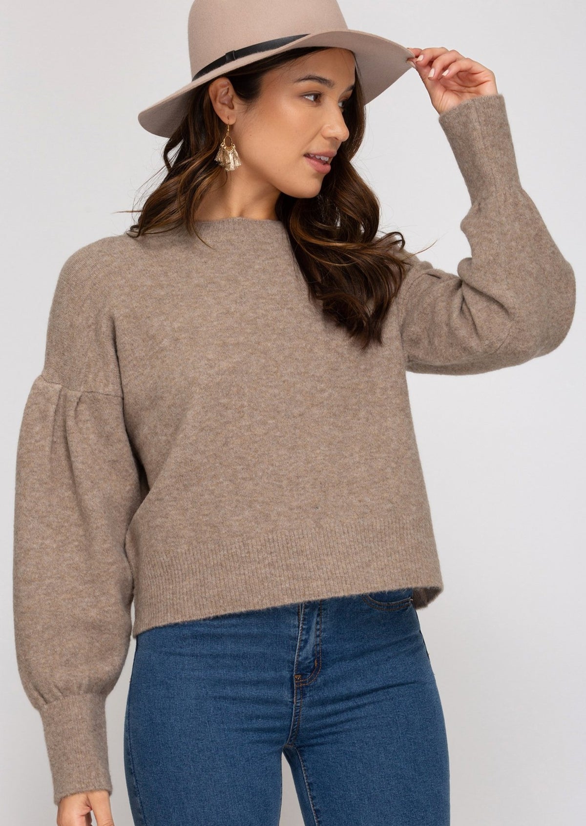 Long Balloon Sleeve Crop Sweater